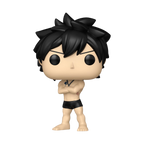 Funko Pop! Fairy Tail-100 Years Quest - Gray 2287 *Chance auf Chase*